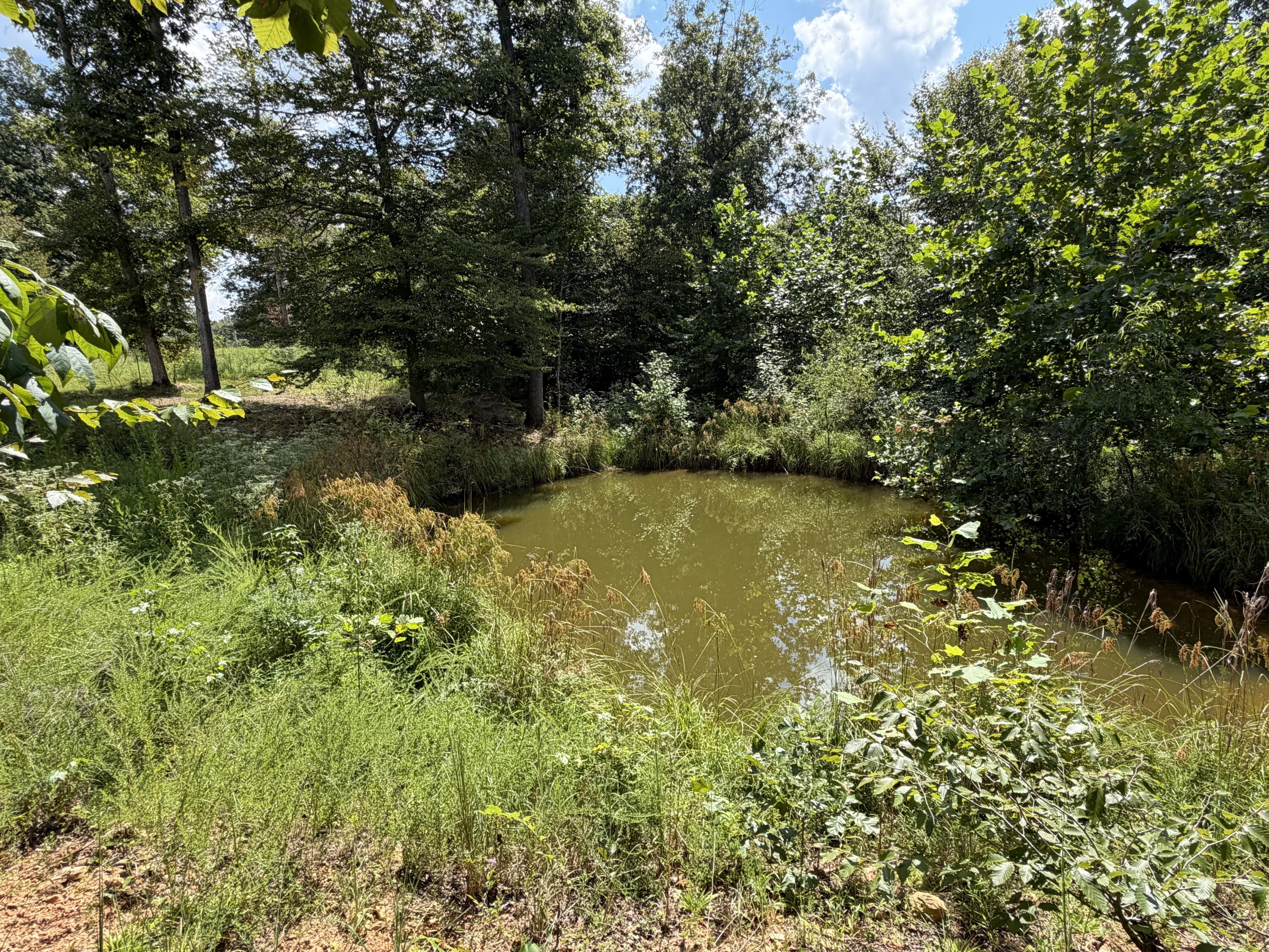 6861 Rockcastle Road Cadiz, KY 42211 - Photo 75 of 75 1