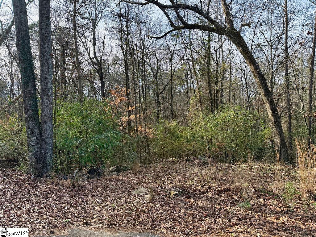 154 Dogwood Road Townville, SC 29689 - Photo 3 of 16