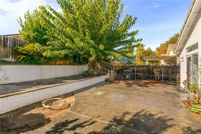 a view of a backyard with plants and trees