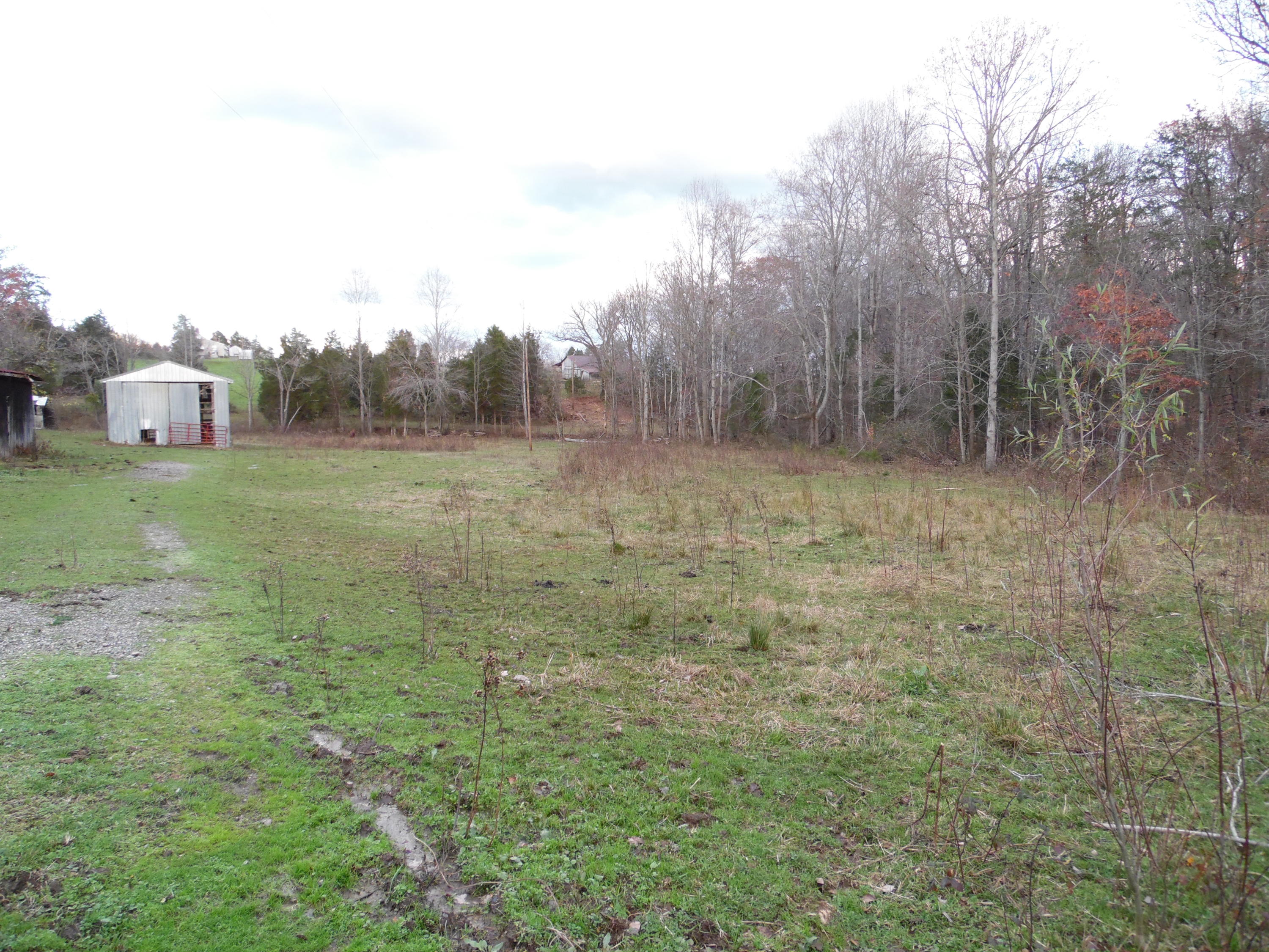 2556 Mead Valley Road Moneta, VA 24121 - Photo 8 of 36 Horse & Cattle Space