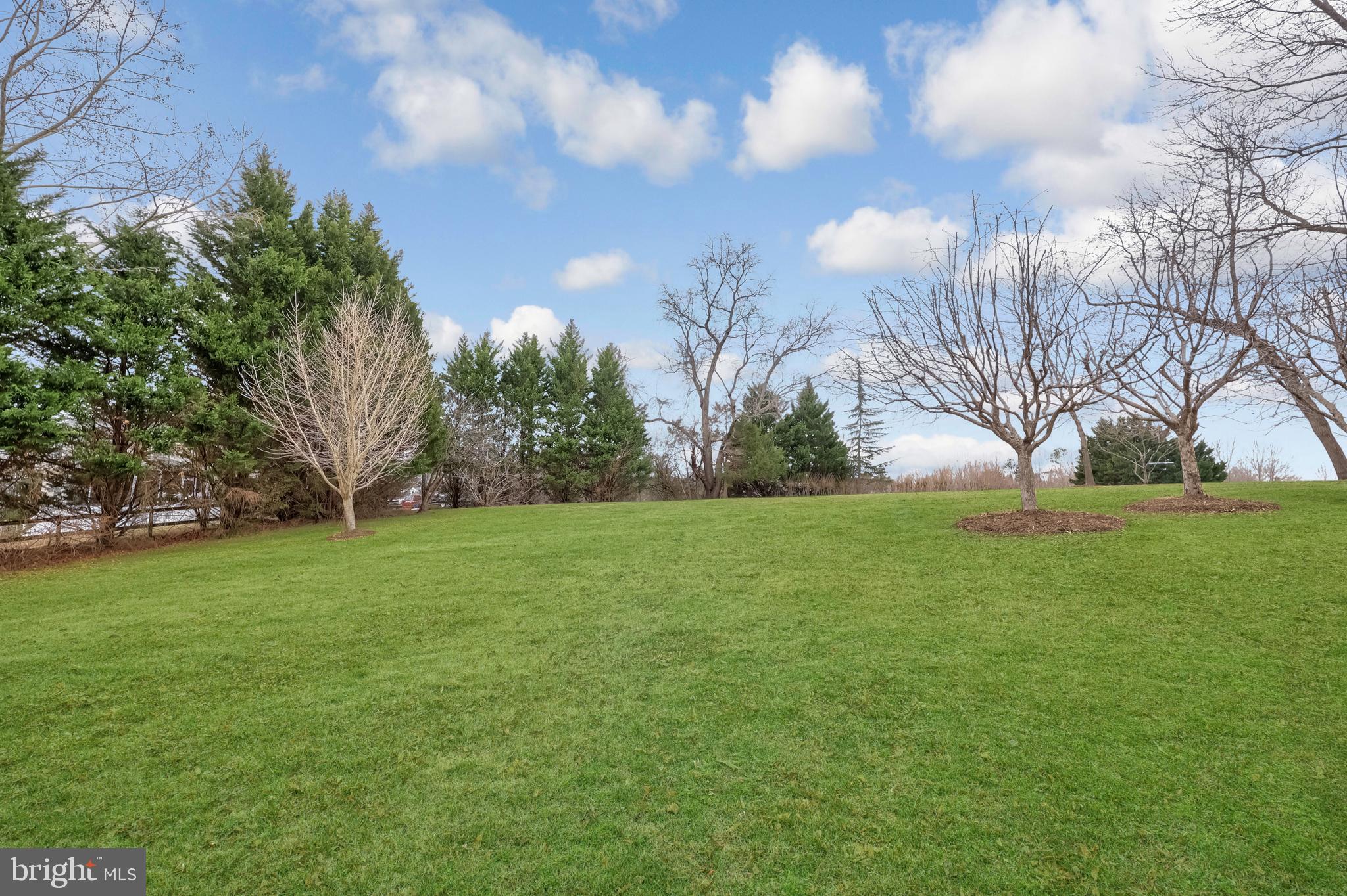 8439 Den Circle King George, VA 22485 - Photo 40 of 53