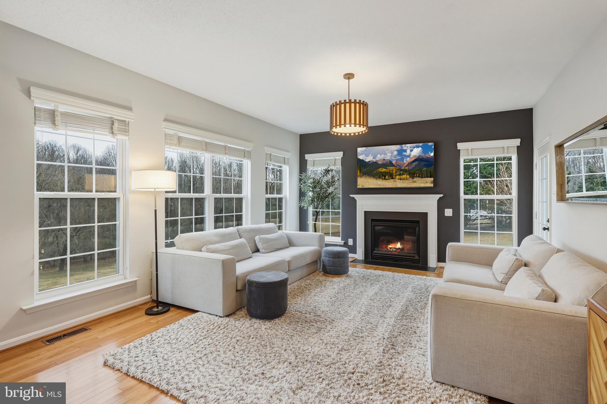 8439 Den Circle King George, VA 22485 - Photo 4 of 53 a living room with furniture and a fireplace