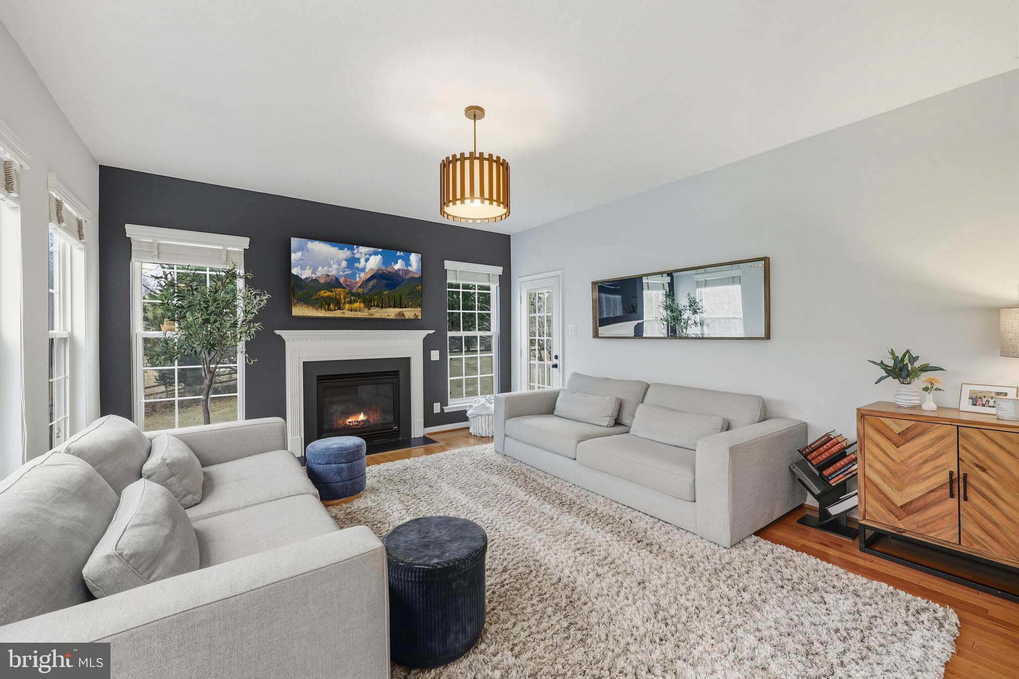 8439 Den Circle King George, VA 22485 - Photo 5 of 53 a living room with furniture a fireplace and a flat screen tv