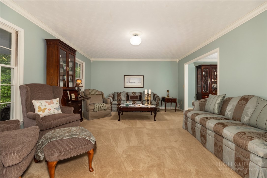 1335 Shingle Gap Road Purlear, NC 28665 - Photo 13 of 49 a living room with furniture and a couch