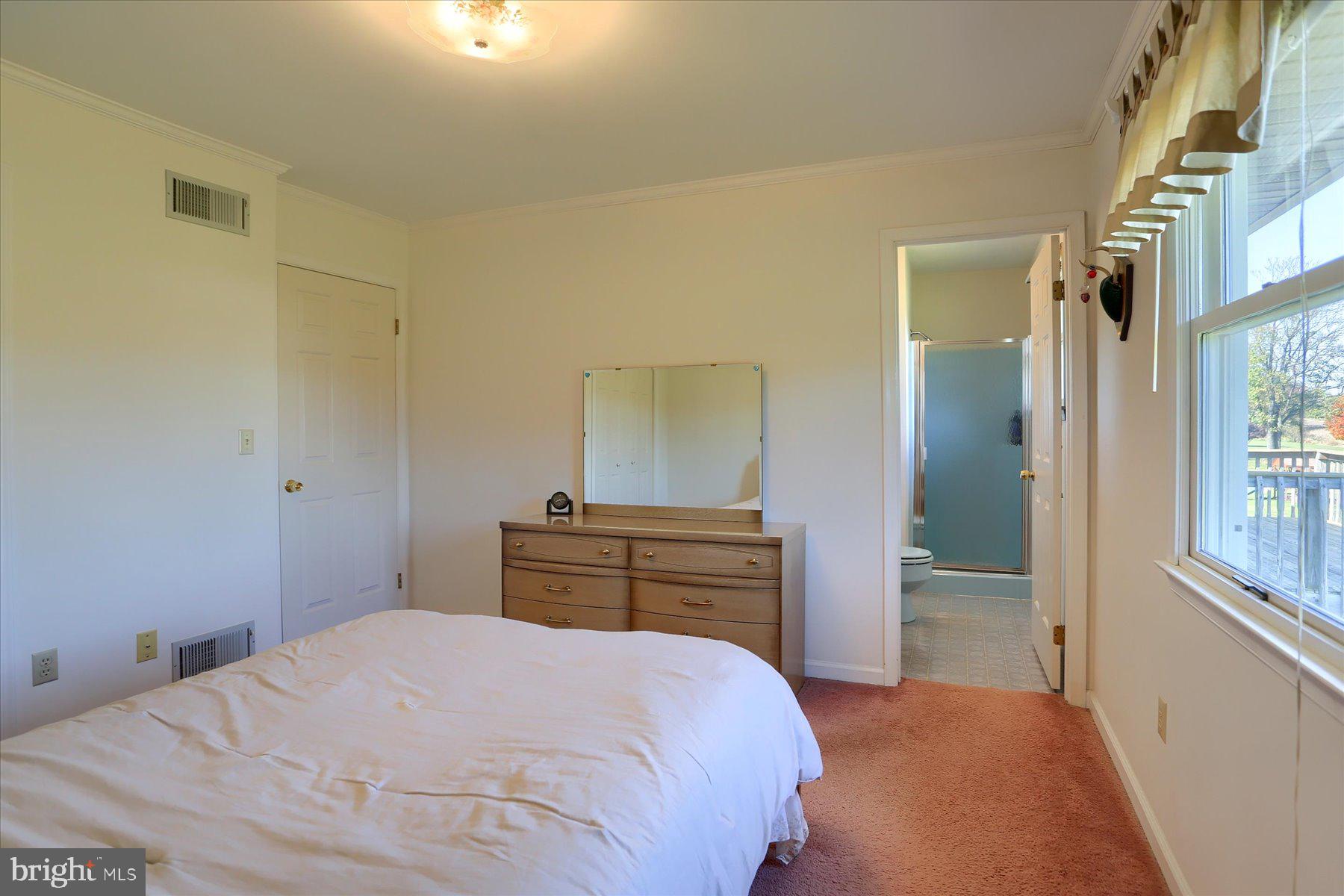 921 Petersburg Road Carlisle, PA 17015 - Photo 13 of 27 Attached ensuite in Primary Bedroom