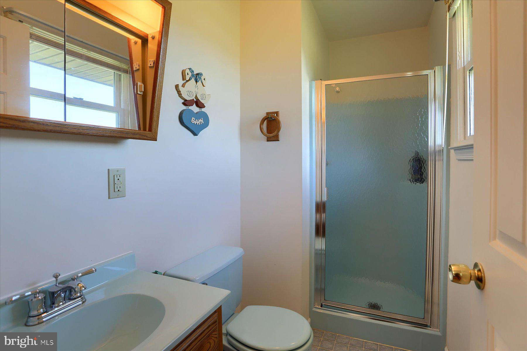 921 Petersburg Road Carlisle, PA 17015 - Photo 14 of 27 Primary Bathroom