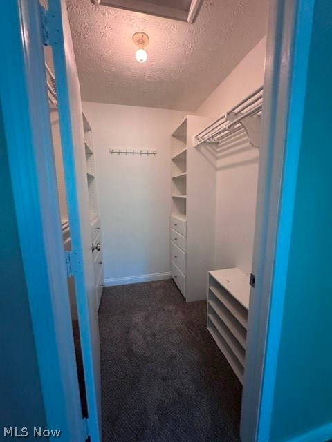 305 Guy's Run Road, Unit 305 Akron, OH 44319 - Photo 33 of 37 walk in closet