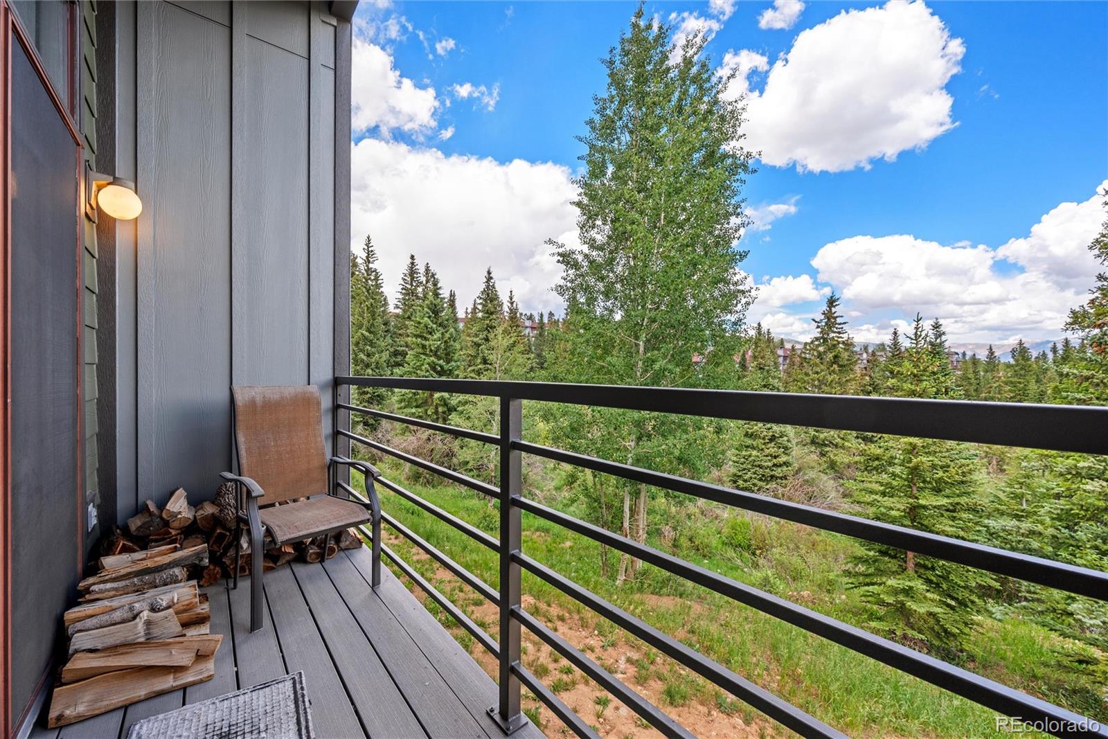 10000 Ryan Gulch Road, Unit 101 Silverthorne, CO 80498 - Photo 13 of 19