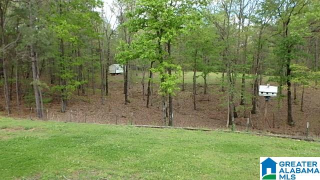 2183 Chapman Road Goodwater, AL 35072 - Photo 5 of 5