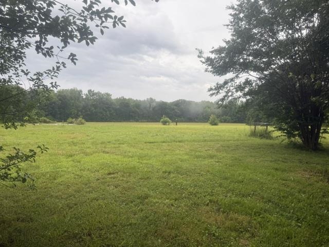 1100 Pine Top Road Toone, TN 38381 - Photo 38 of 40 Expansive open field with scattered small trees, bordered by a dense tree line