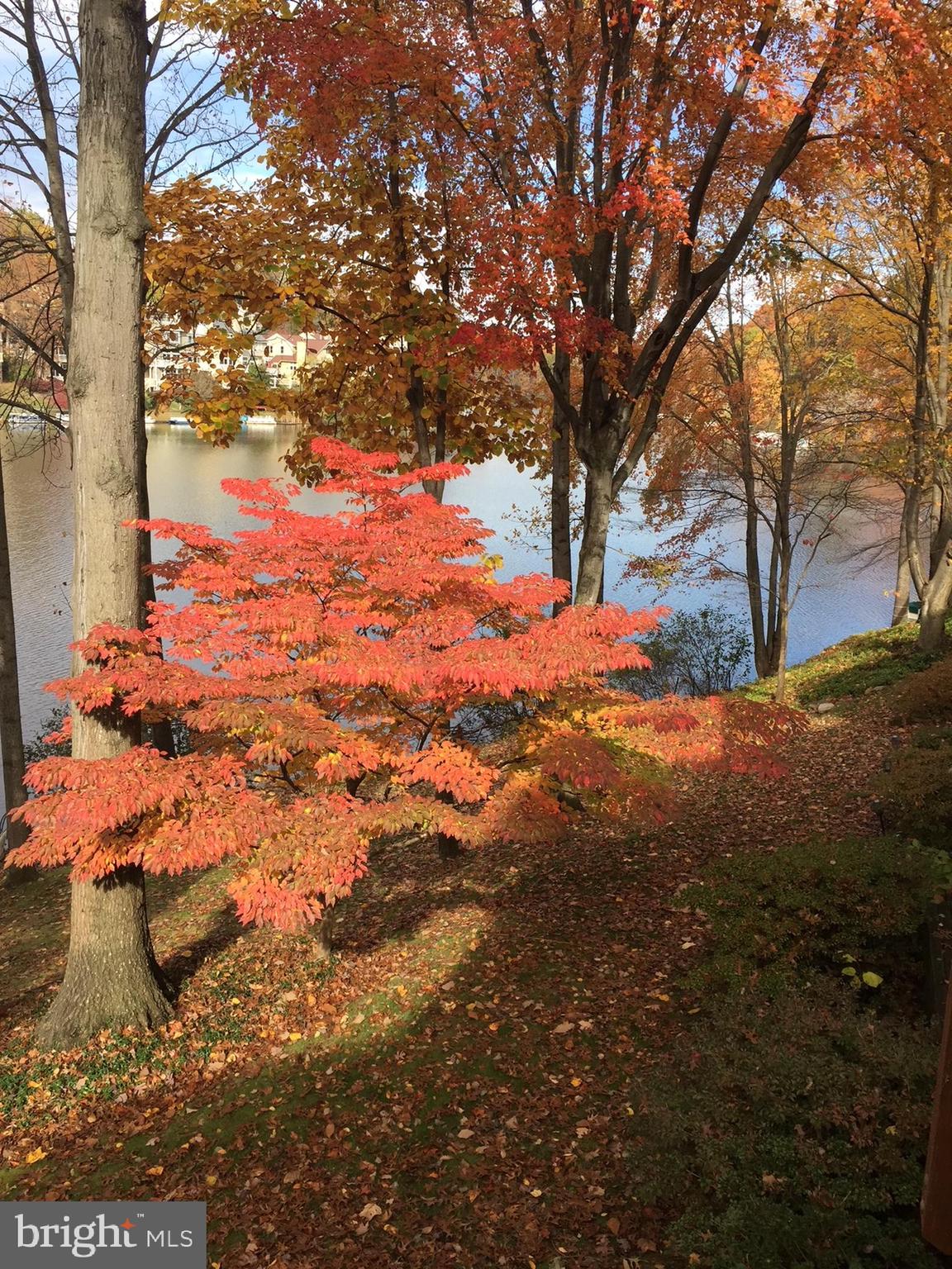 11032 Thrush Ridge Road Reston, VA 20191 - Photo 3 of 66 Every season brings its beauty and joy right to yo