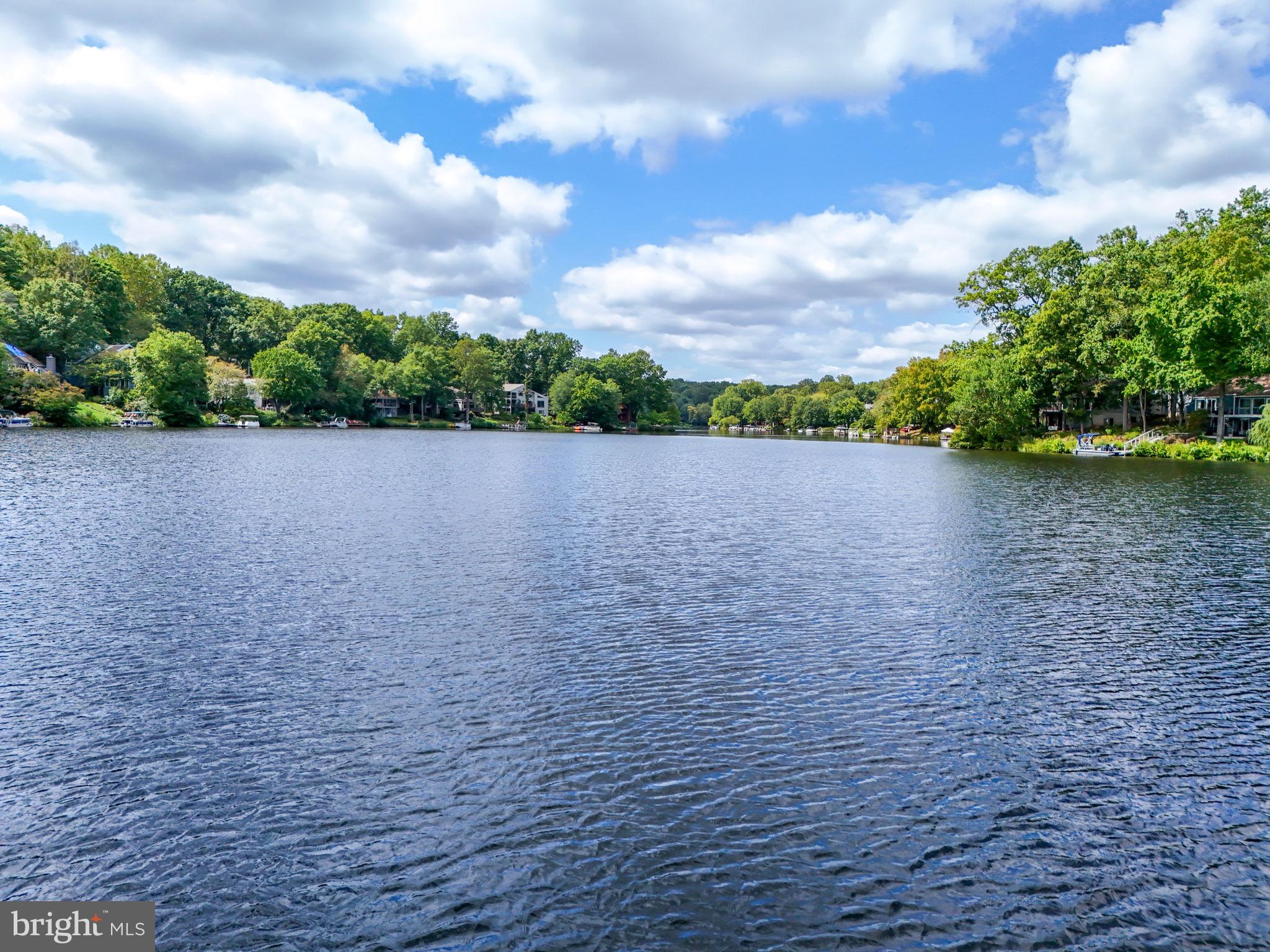 11032 Thrush Ridge Road Reston, VA 20191 - Photo 64 of 66 Ahhhhh....so relaxing!
