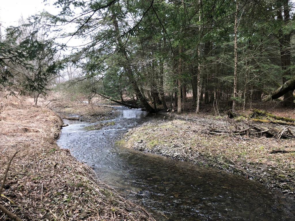 6342 State Rte 26 Whitney Point, NY 13862 - Photo 1 of 1