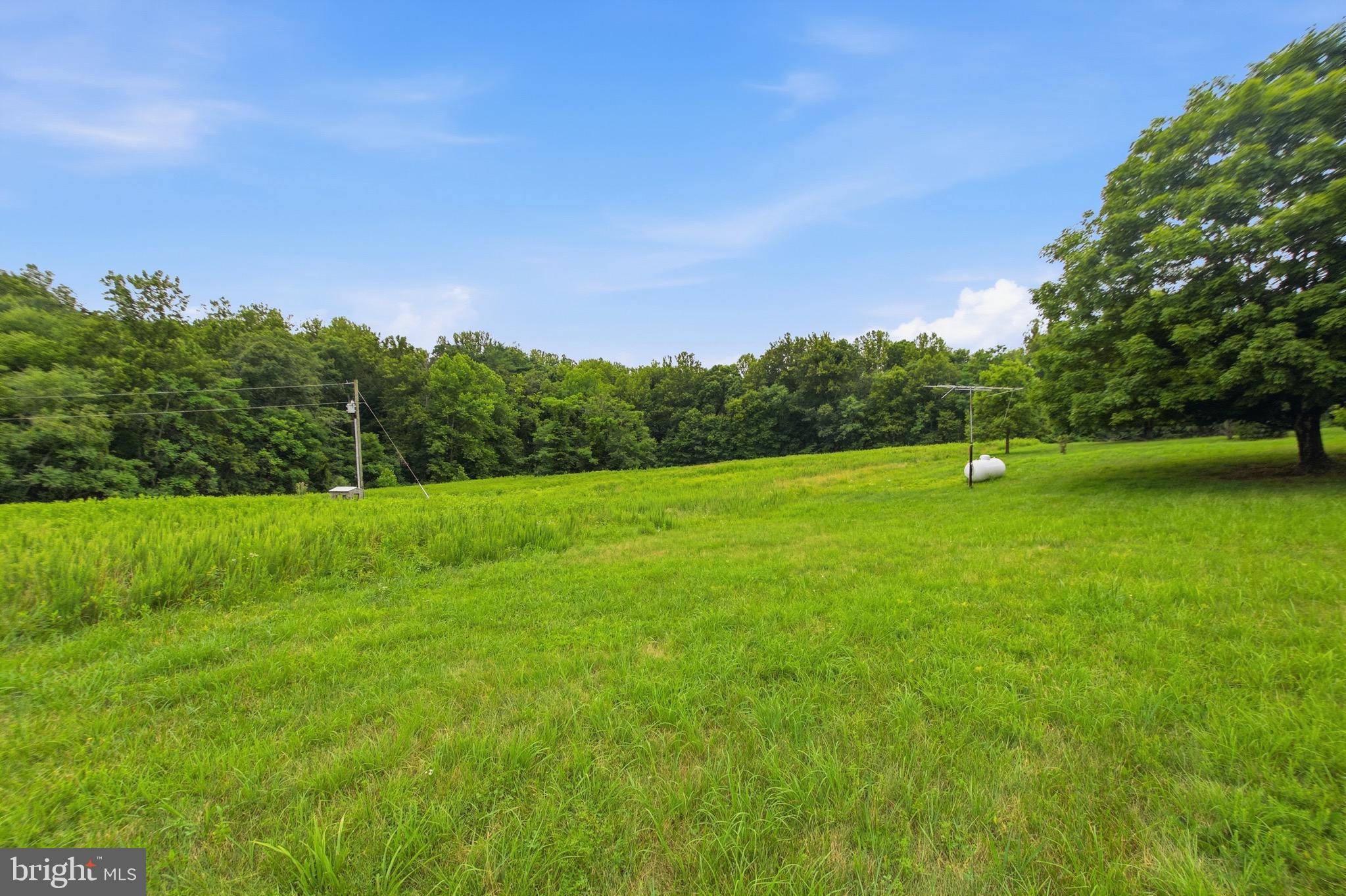 4407 Indian Run Road Amissville, VA 20106 - Photo 49 of 54