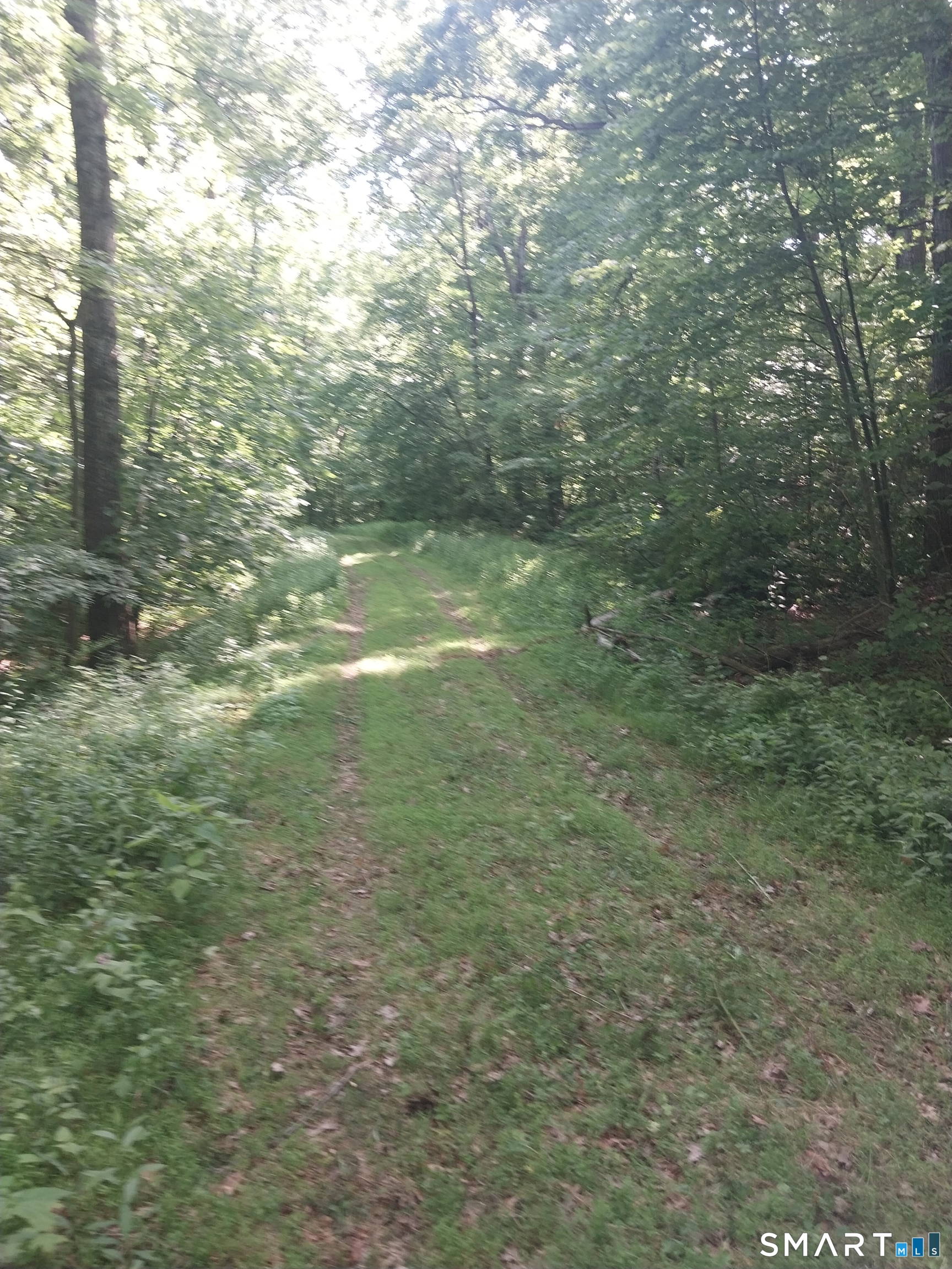 Mount Mauwee Road South Kent, CT 06785 - Photo 4 of 10