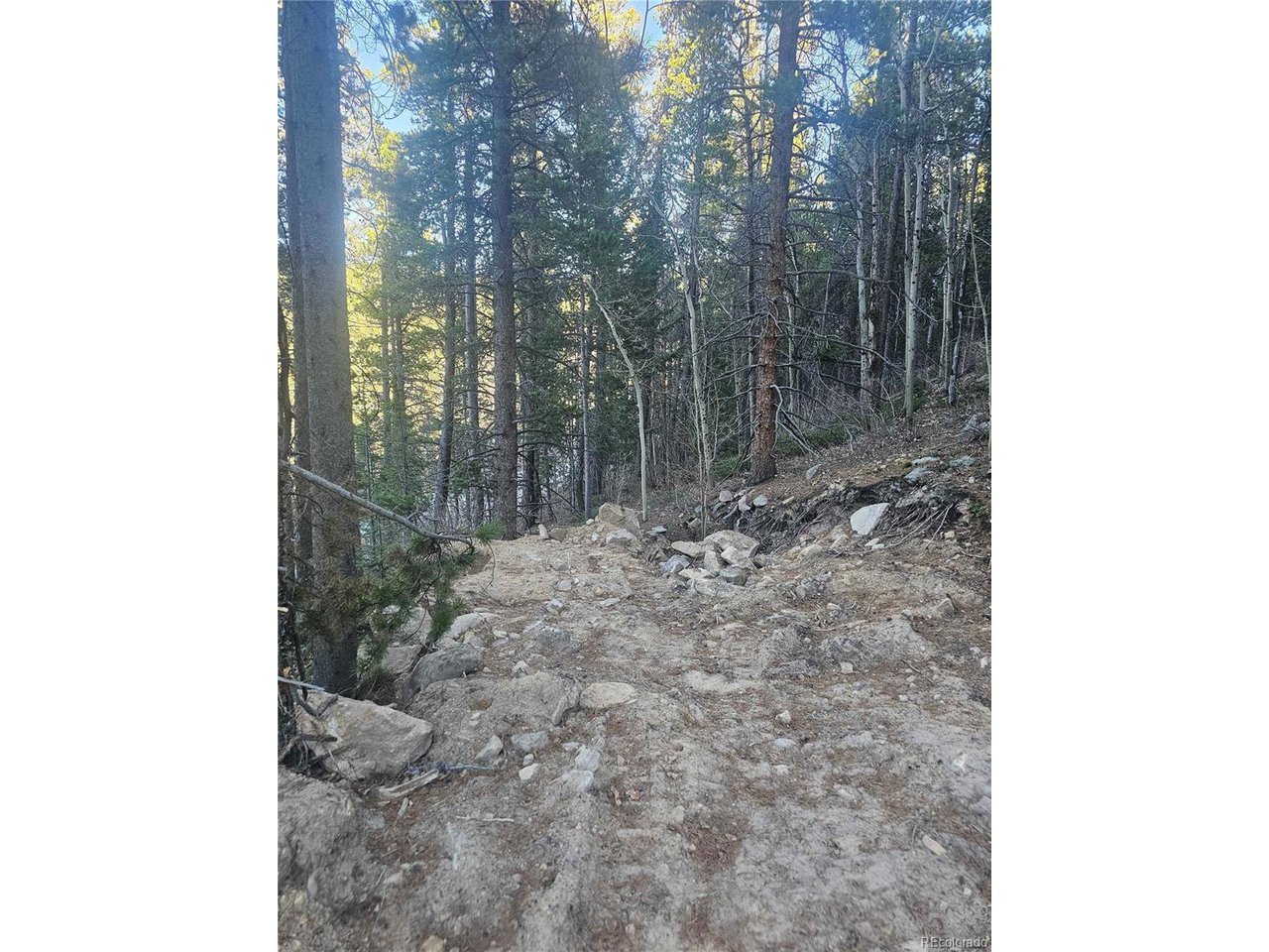 35 72 W Golden, CO 80403 - Photo 2 of 19 a view of a forest with tree