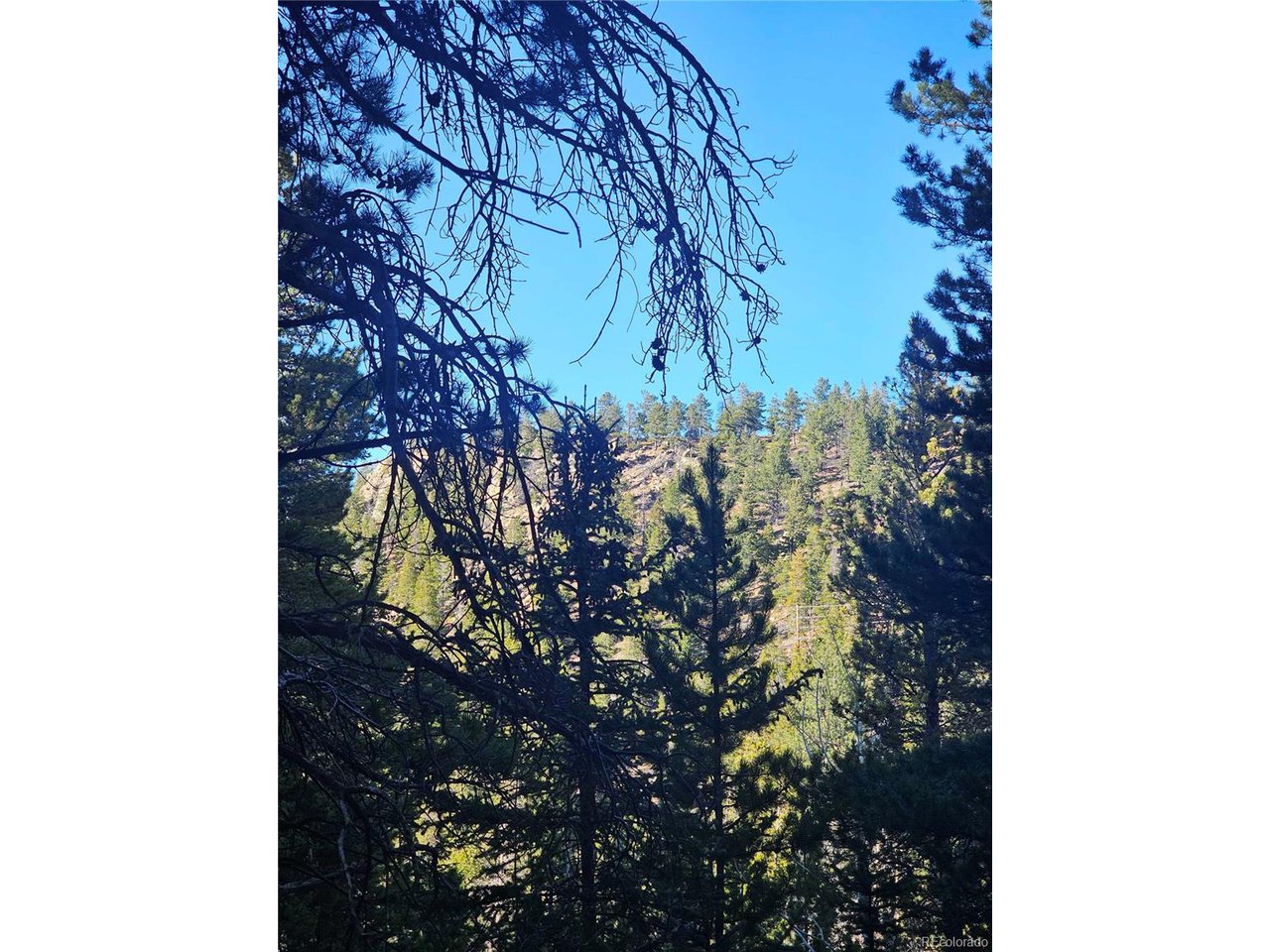 35 72 W Golden, CO 80403 - Photo 4 of 19 a backyard of a house