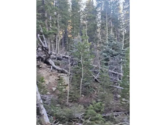 $85,000 | 35 72 W, Golden, CO 80403