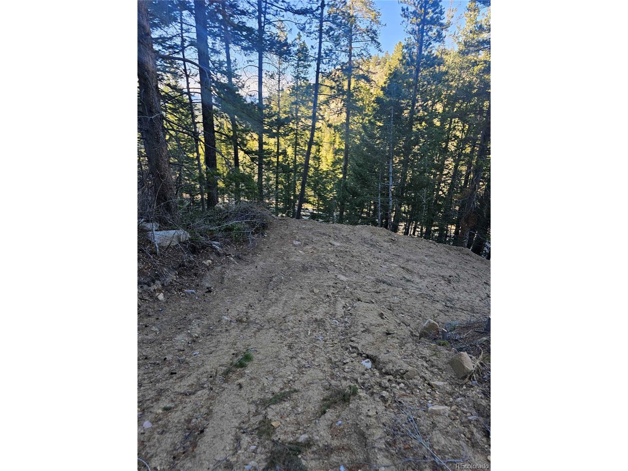 35 72 W Golden, CO 80403 - Photo 6 of 19 a view of a yard with trees