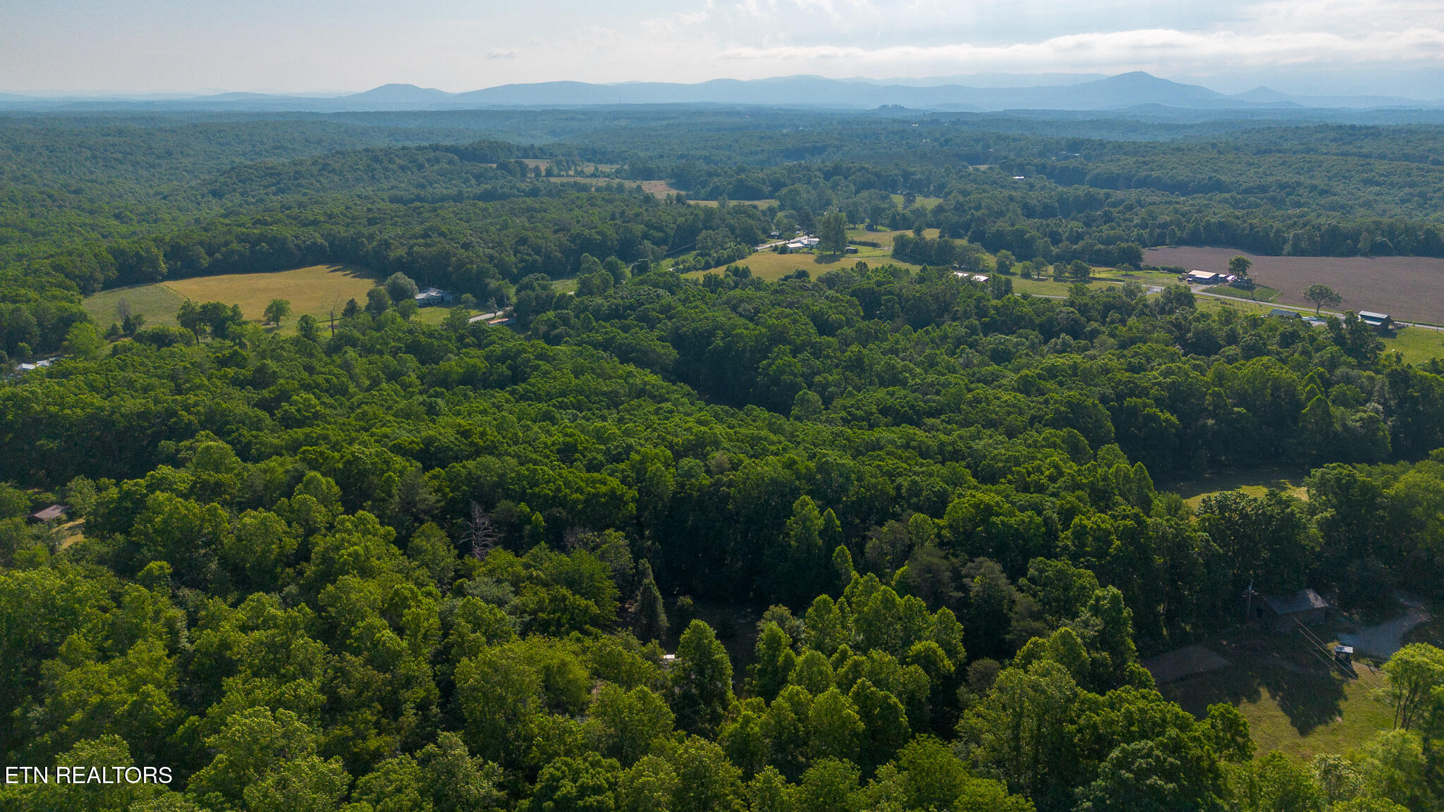 140 Walnut Street Deer Lodge, TN 37726 - Photo 35 of 37 DJI_0220-HDR