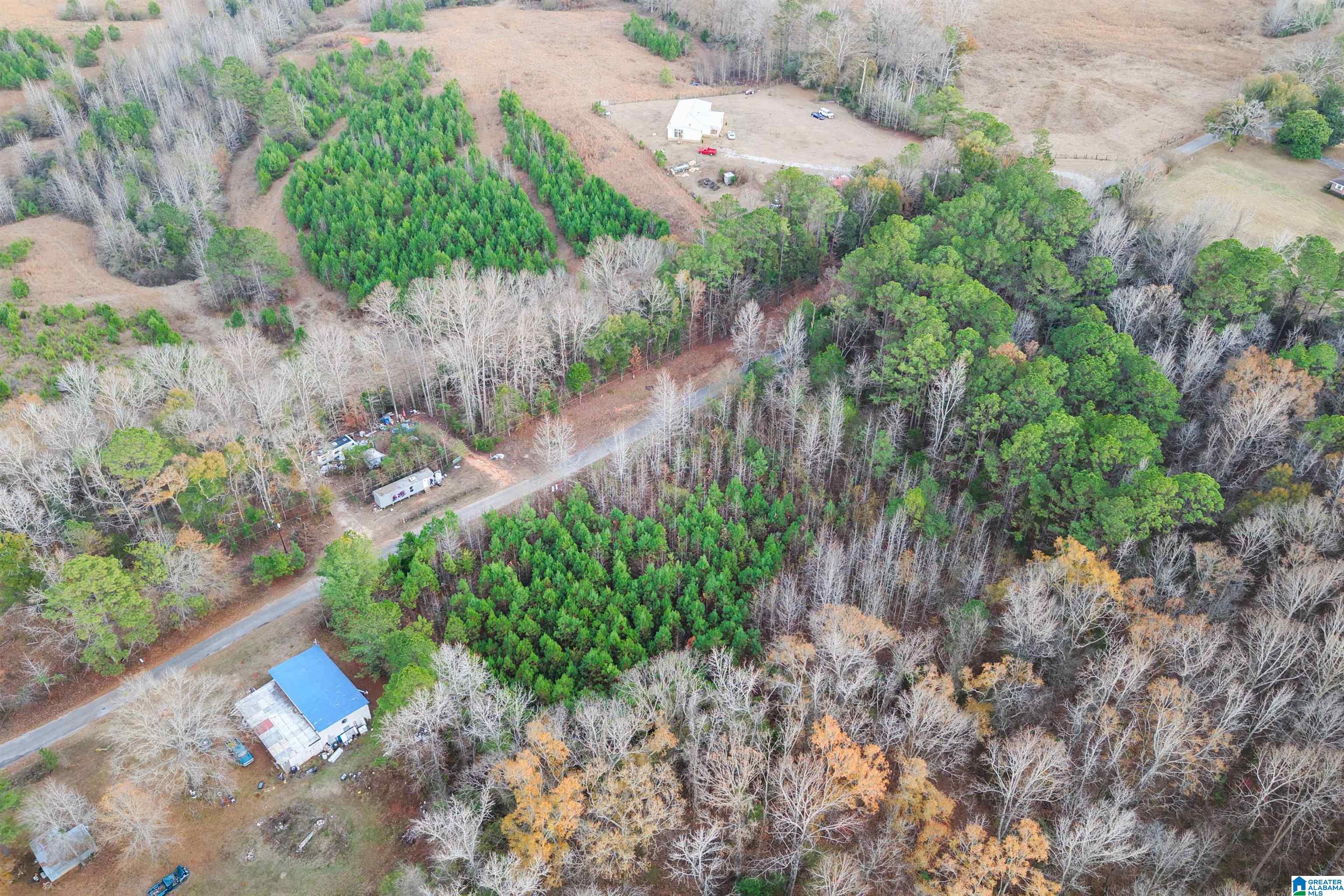 1830 Pine Tree Road Centreville, AL 35042 - Photo 9 of 11