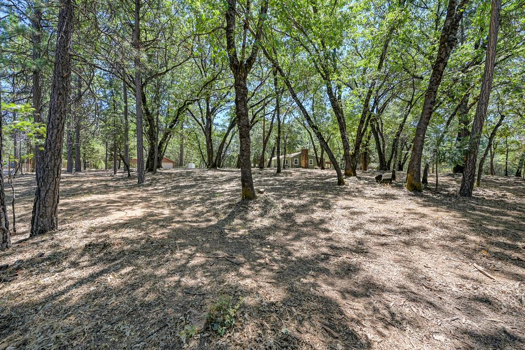 1862 Pleasant Valley Road Placerville, CA 95667 - Photo 60 of 74