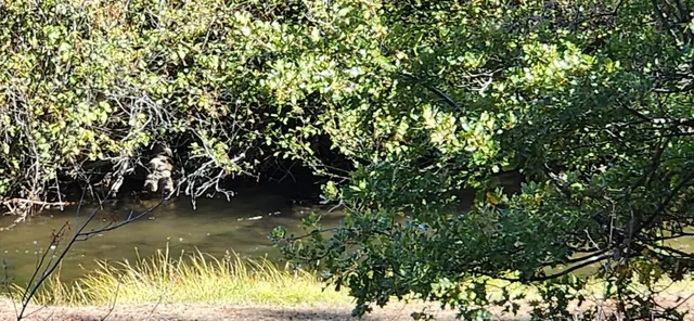 $750,000 | 19845 Cinder Pit Road, Hat Creek, CA 96040