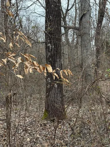 $420,000 | 257 Road, Stendal, IN 47585