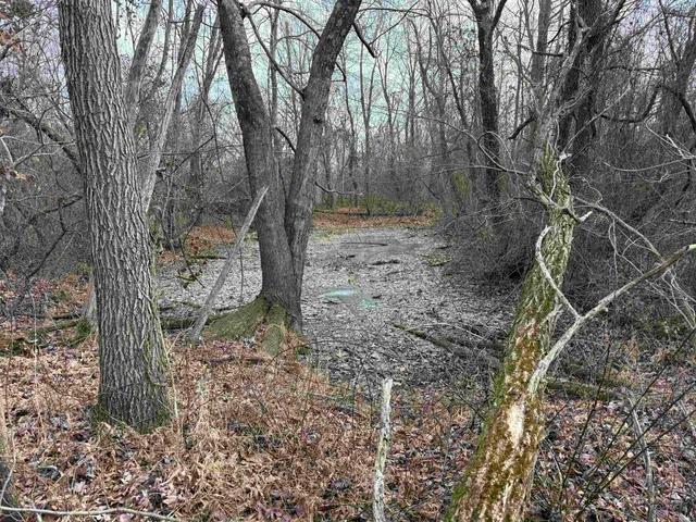 $420,000 | 257 Road, Stendal, IN 47585