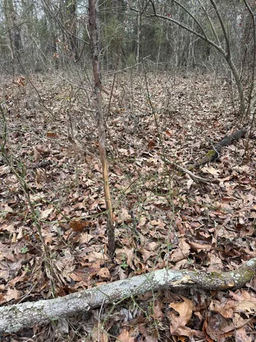 $420,000 | 257 Road, Stendal, IN 47585