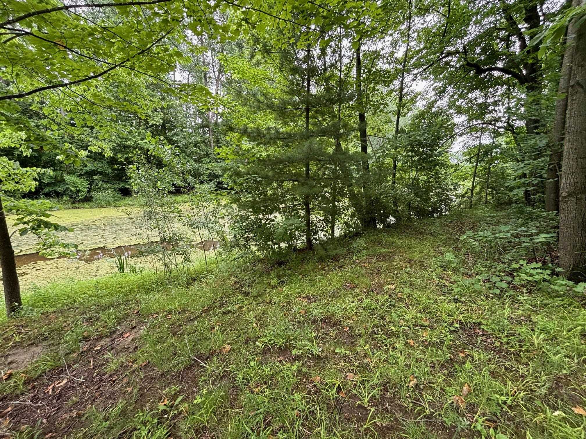 4141 Wieman Road Beaverton, MI 48612 - Photo 3 of 5