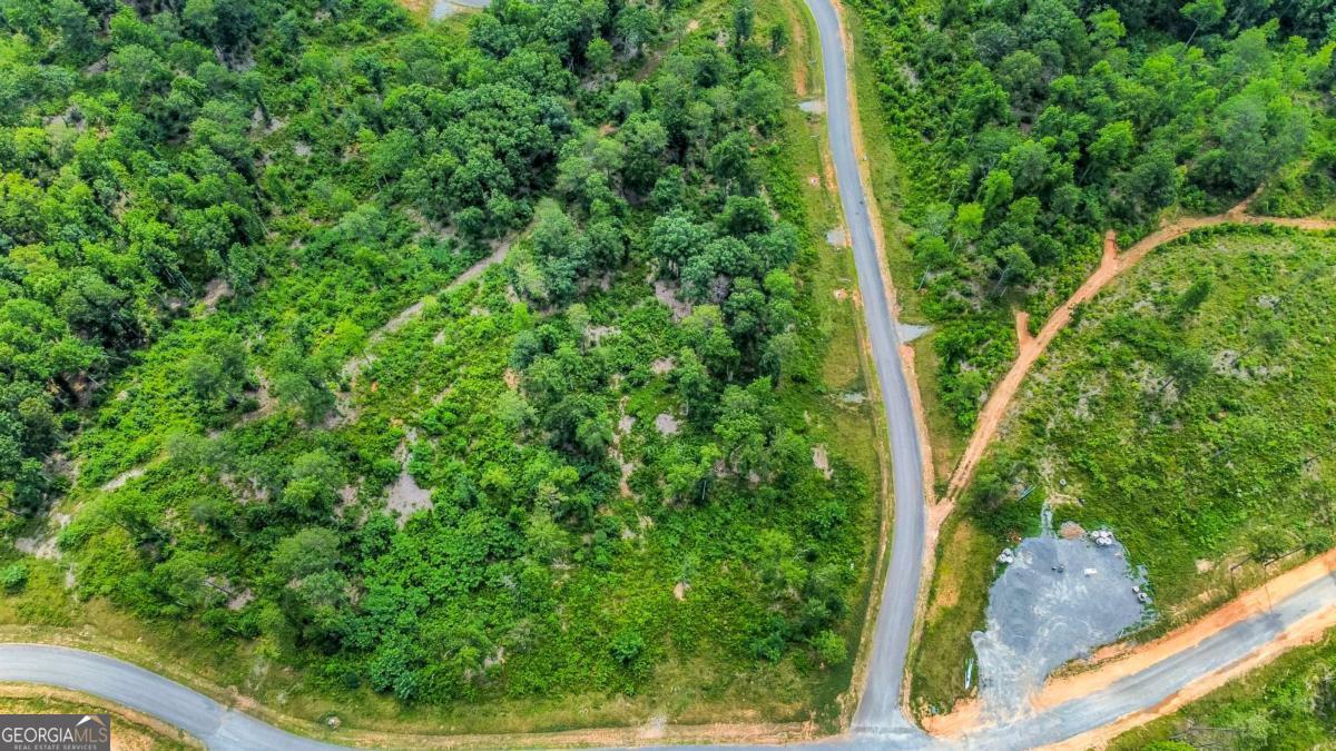 Lot 128 Twisted Oak Road Talking Rock, GA 30175 - Photo 11 of 31 a view of a yard