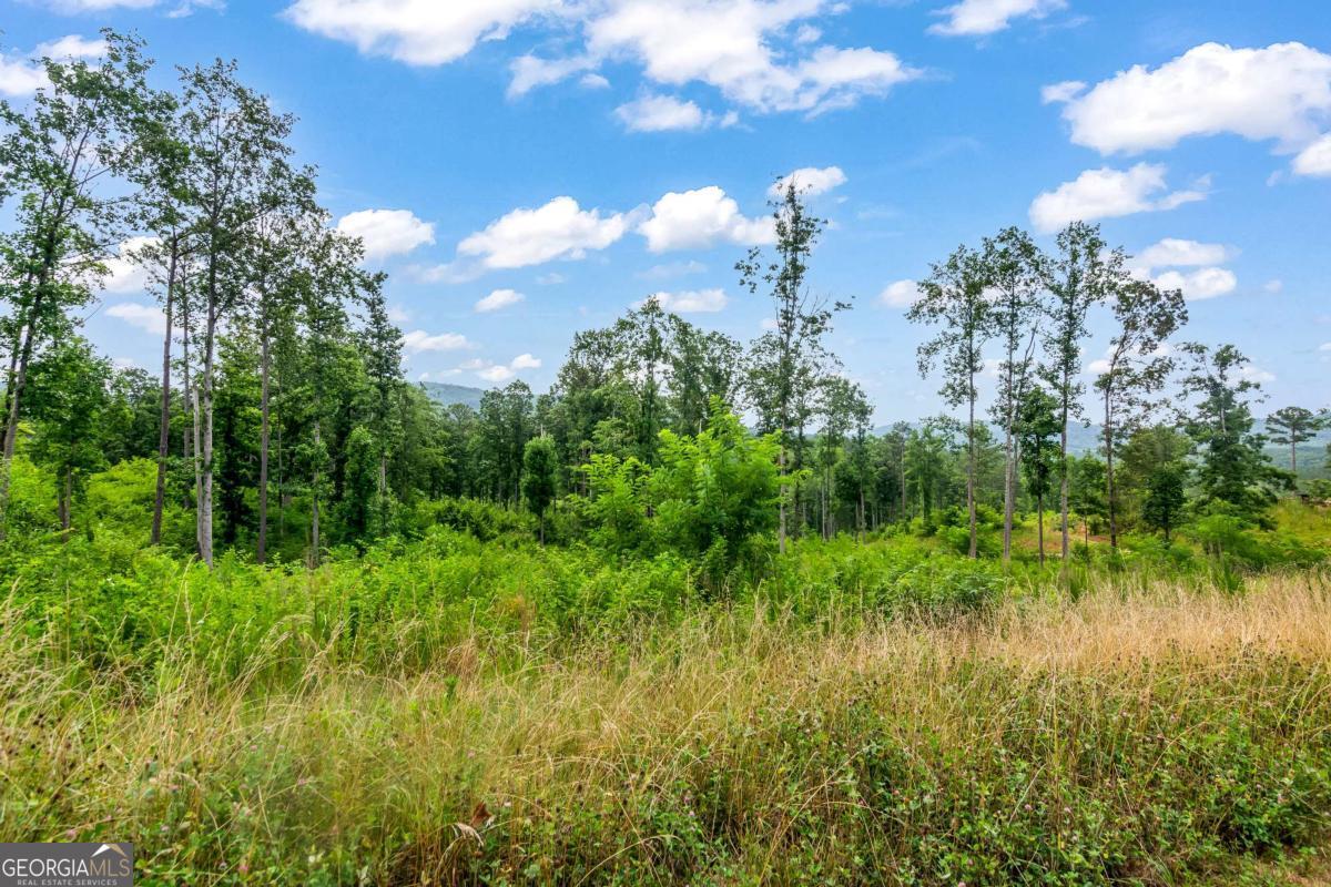 Lot 128 Twisted Oak Road Talking Rock, GA 30175 - Photo 12 of 31