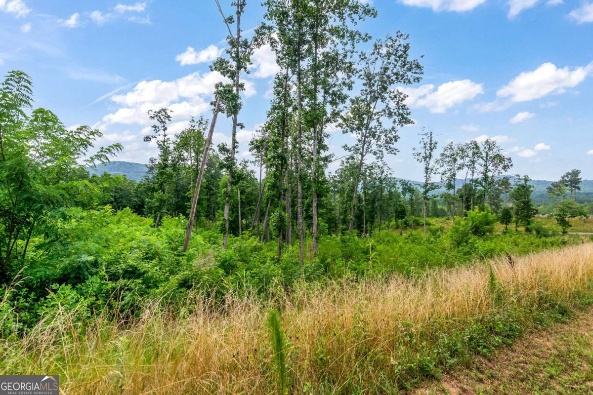 Lot 128 Twisted Oak Road Talking Rock, GA 30175 - Photo 15 of 31 a view of lake with green space