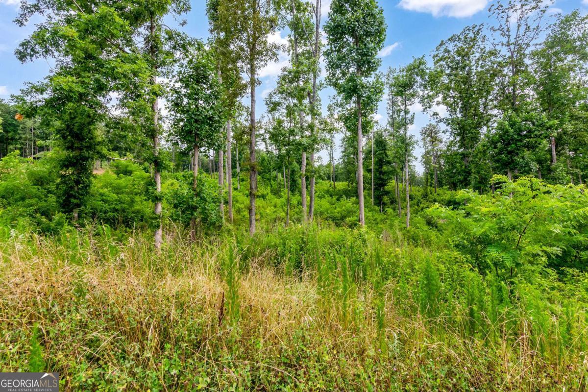 Lot 128 Twisted Oak Road Talking Rock, GA 30175 - Photo 19 of 31 a view of a garden