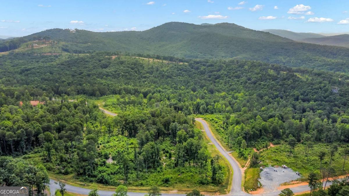 Lot 128 Twisted Oak Road Talking Rock, GA 30175 - Photo 2 of 31 a view of a lush green hillside and a houses