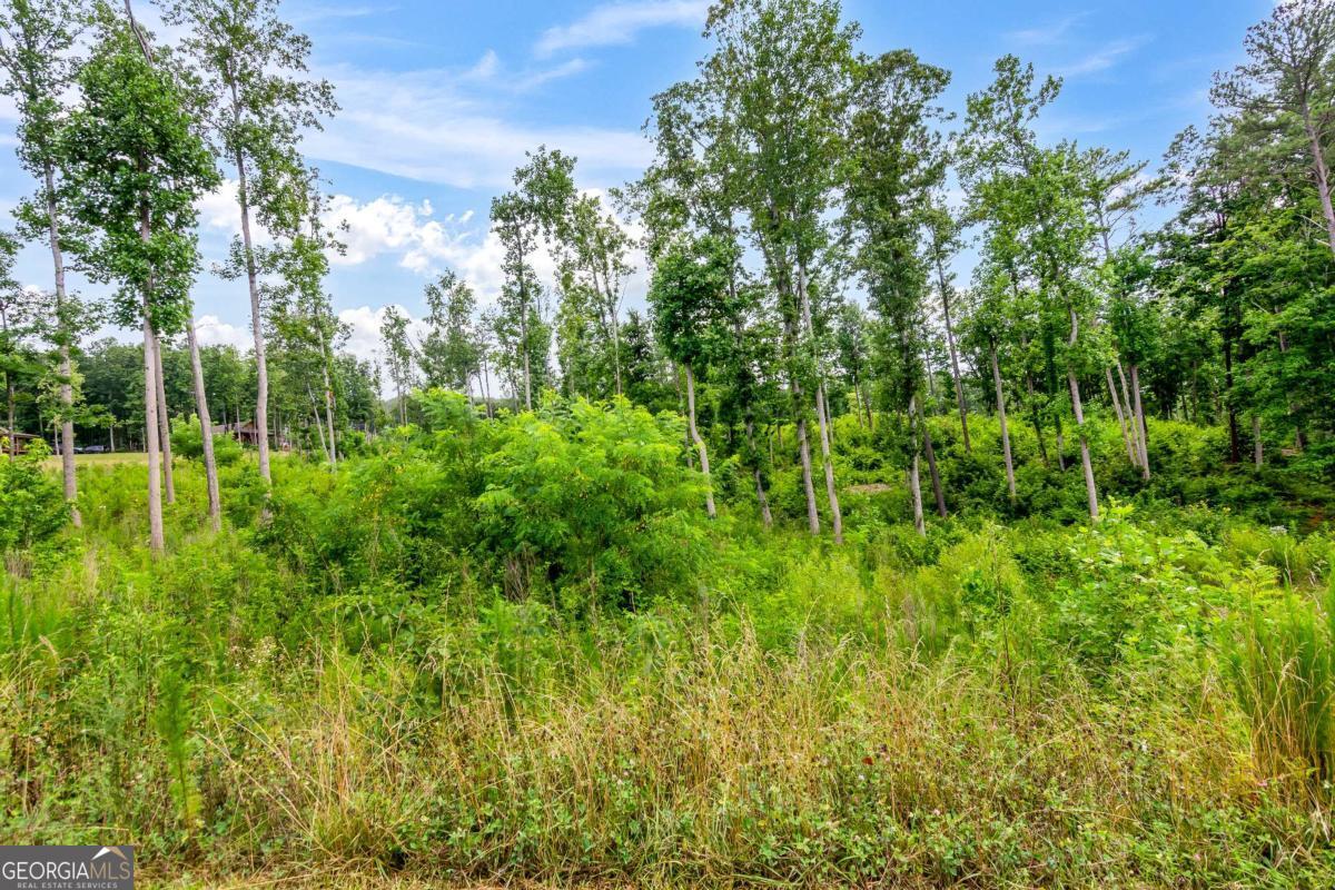 Lot 128 Twisted Oak Road Talking Rock, GA 30175 - Photo 21 of 31 a view of a garden