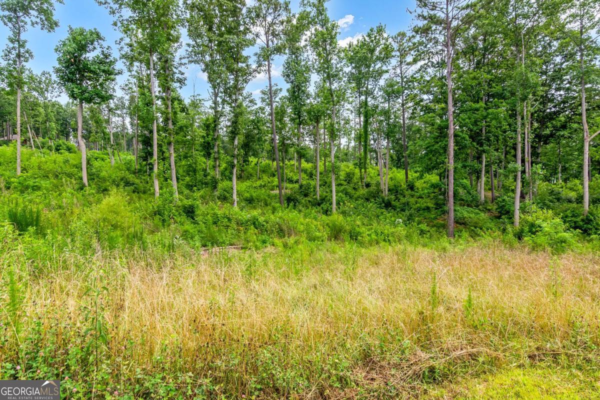 Lot 128 Twisted Oak Road Talking Rock, GA 30175 - Photo 22 of 31 a view of outdoor space and yard