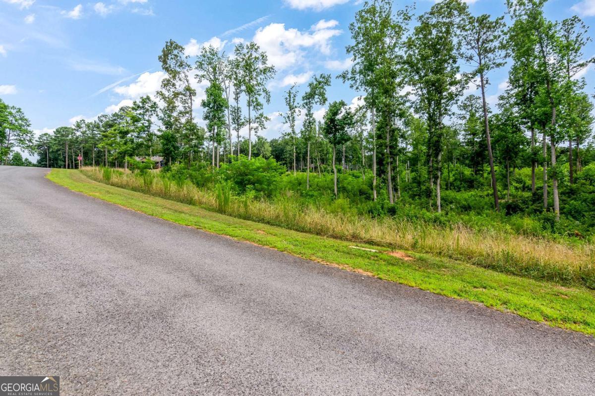 Lot 128 Twisted Oak Road Talking Rock, GA 30175 - Photo 23 of 31 a view of a garden with a lake view
