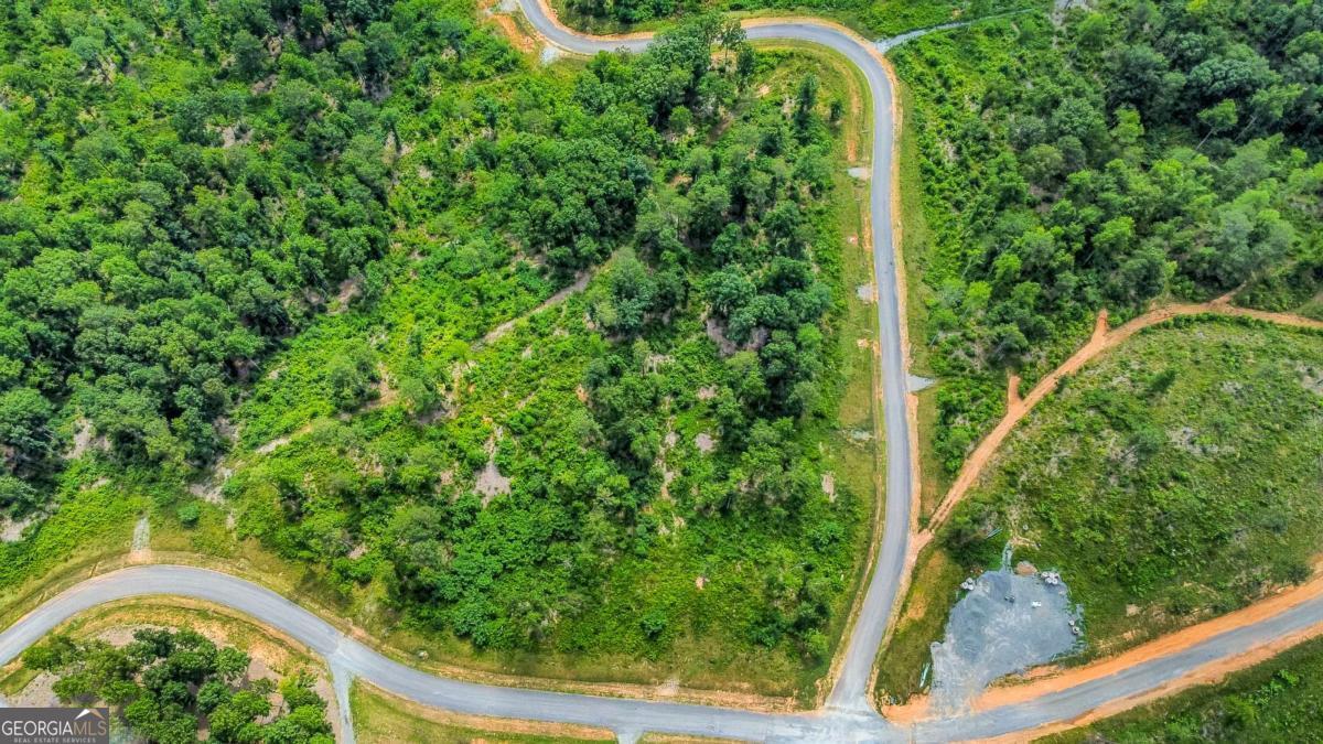 Lot 128 Twisted Oak Road Talking Rock, GA 30175 - Photo 4 of 31