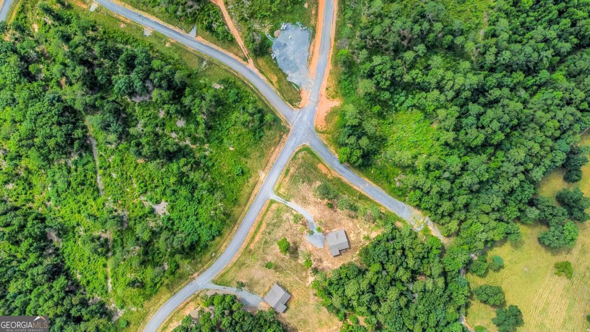 Lot 128 Twisted Oak Road Talking Rock, GA 30175 - Photo 6 of 31 a view of balcony
