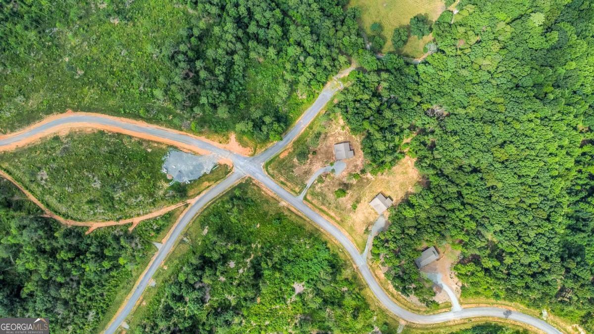 Lot 128 Twisted Oak Road Talking Rock, GA 30175 - Photo 7 of 31 an aerial view of a house
