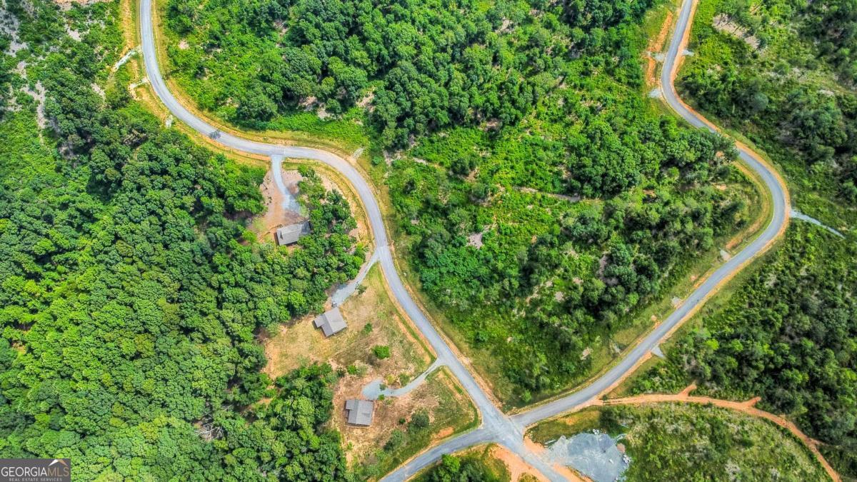 Lot 128 Twisted Oak Road Talking Rock, GA 30175 - Photo 8 of 31