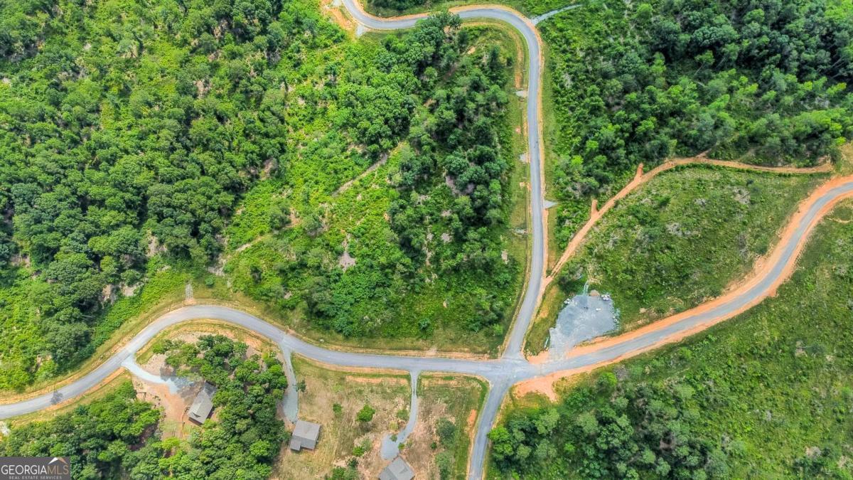 Lot 128 Twisted Oak Road Talking Rock, GA 30175 - Photo 10 of 31