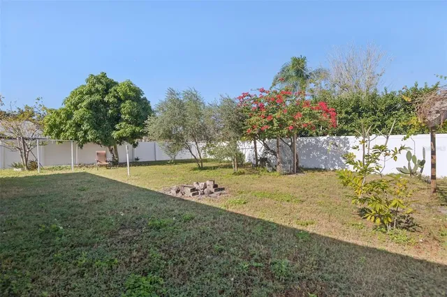a view of a park with large trees