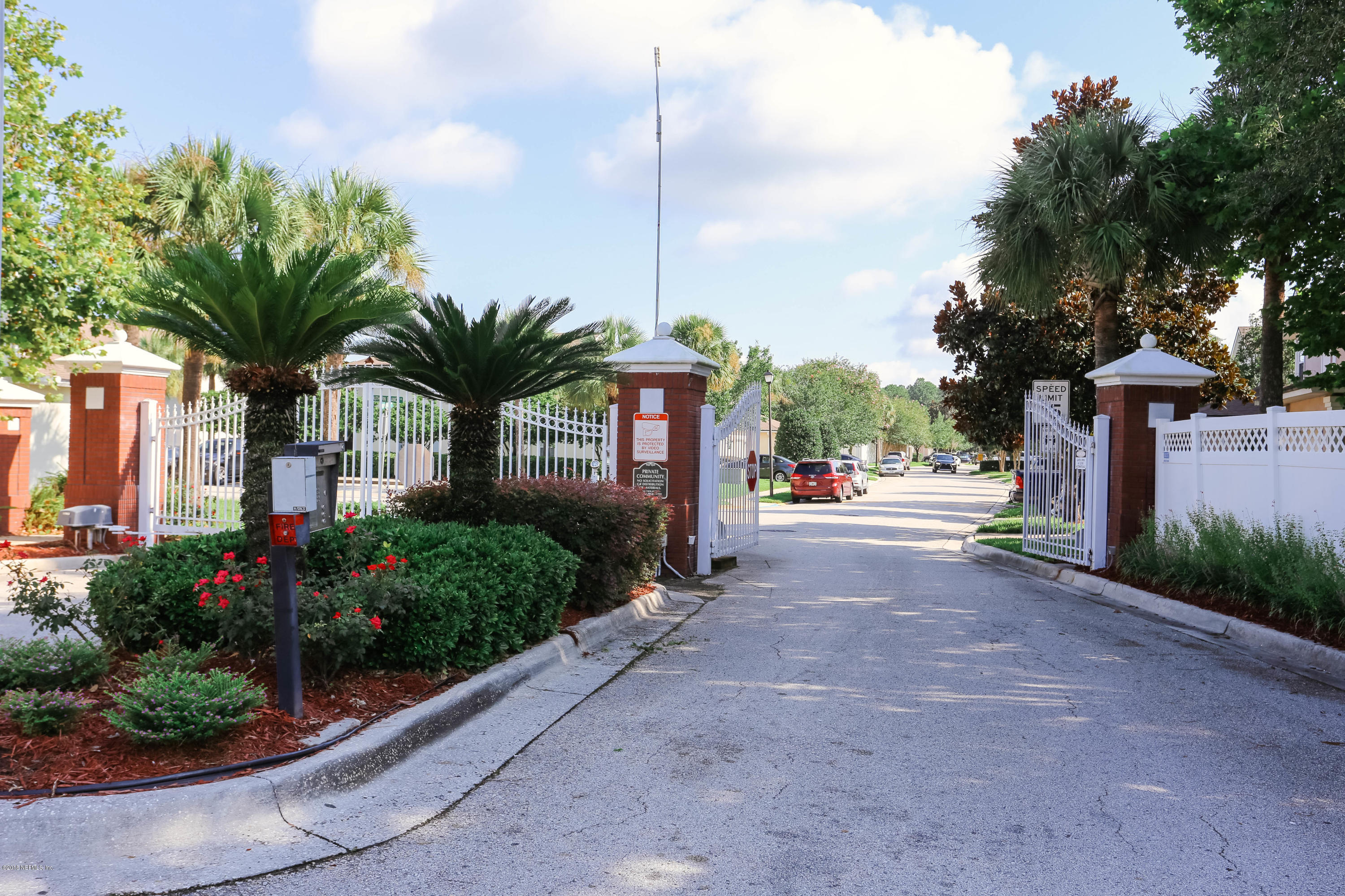1205 Southern Stream Court Jacksonville, FL 32259 - Photo 30 of 42 a view of a street with palm trees