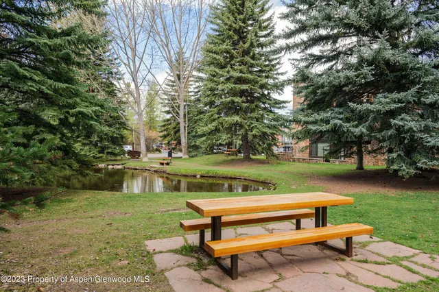 a view of a bench in the garden near a lake