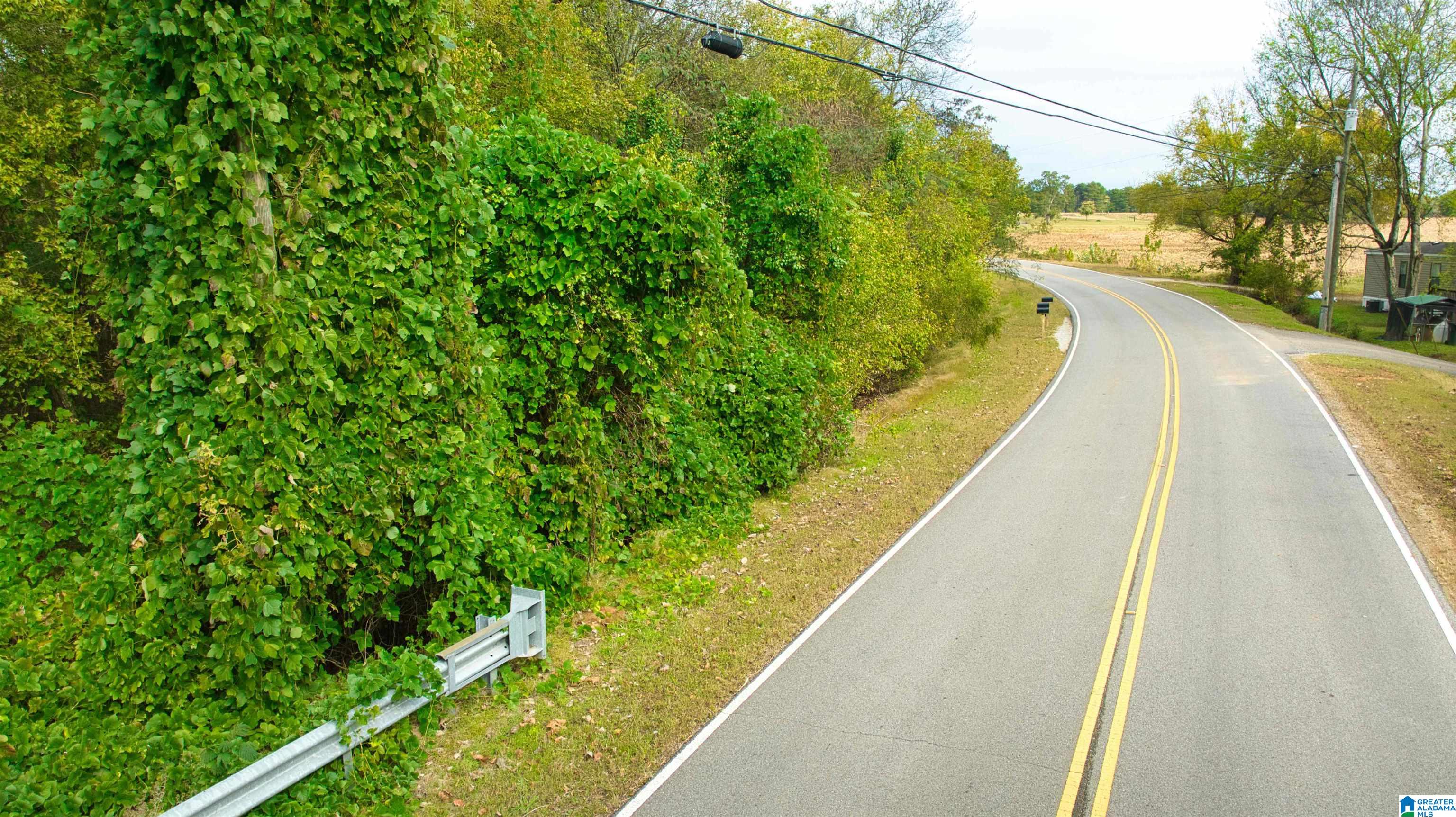 0 South Love Branch Road Toney, AL 35773 - Photo 19 of 26