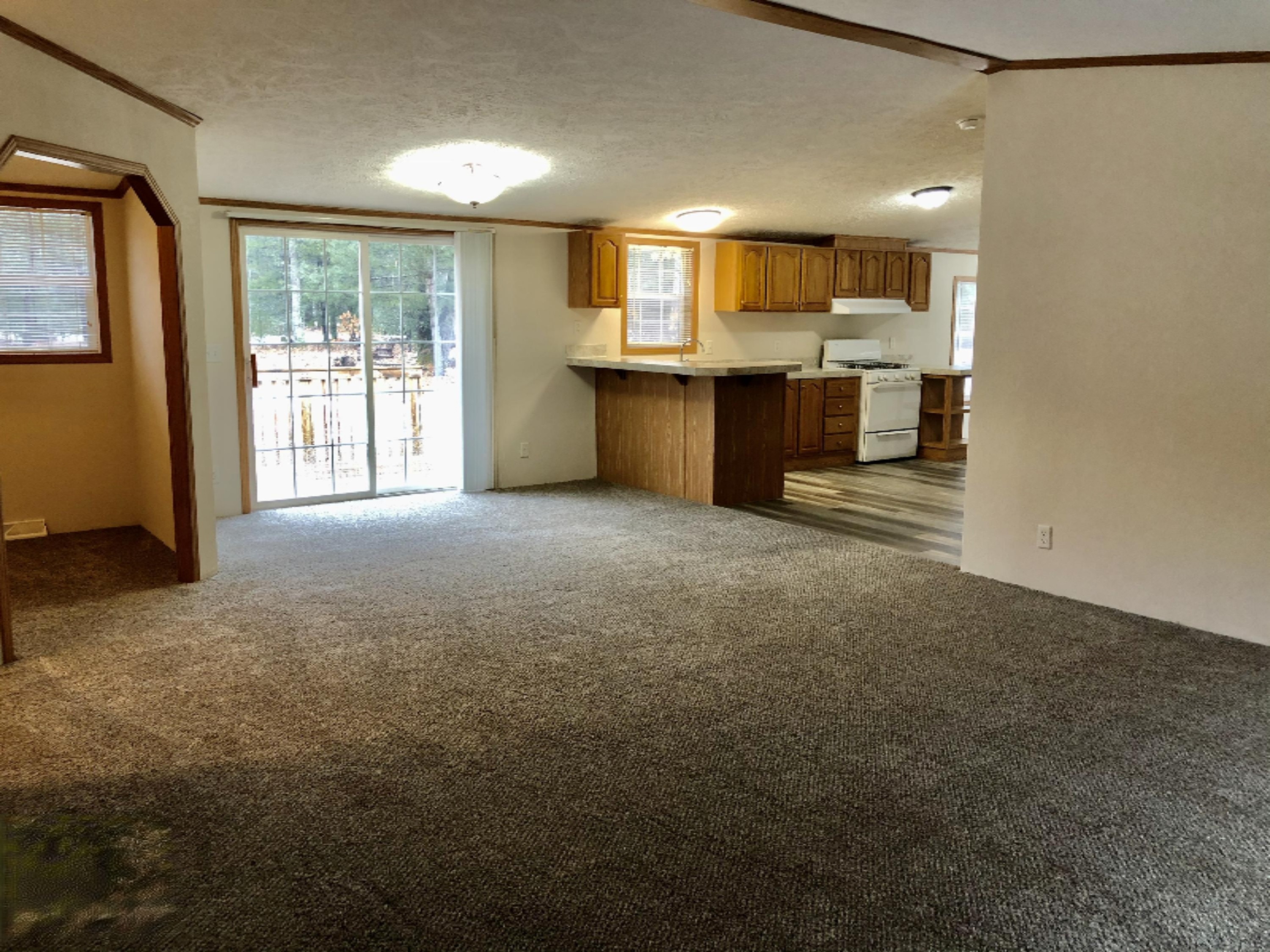 2927 Brunswick Road Holton, MI 49425 - Photo 2 of 32 IMG_9633