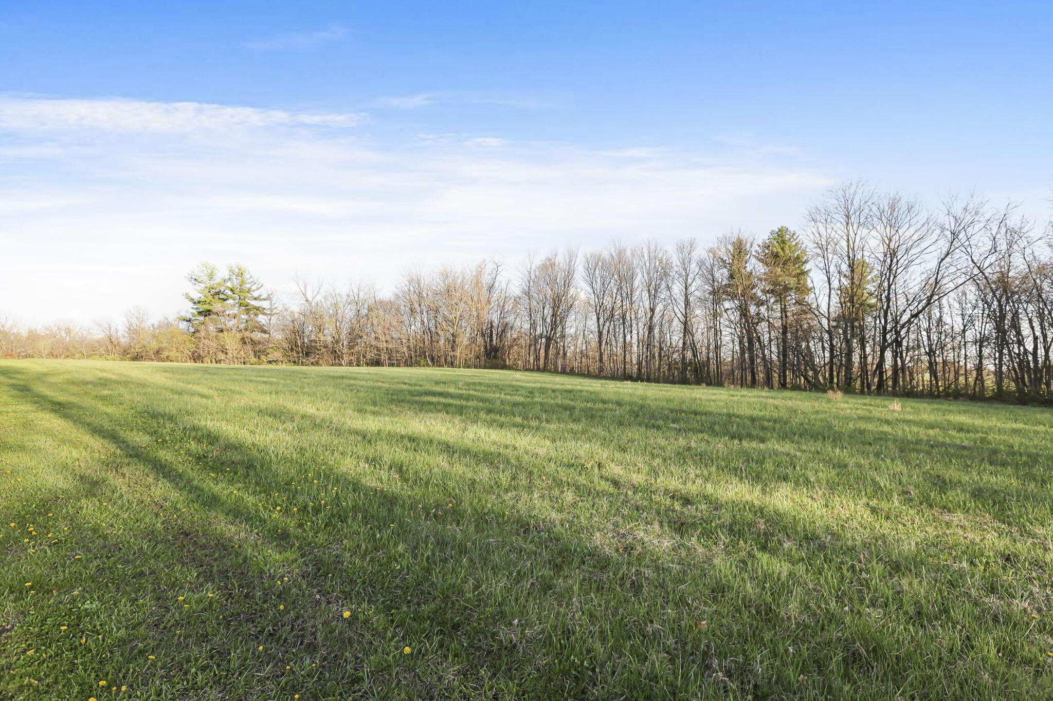6164 Heigle Road Southwest Amanda, OH 43102 - Photo 2 of 43 9-web-or-mls-939A0183